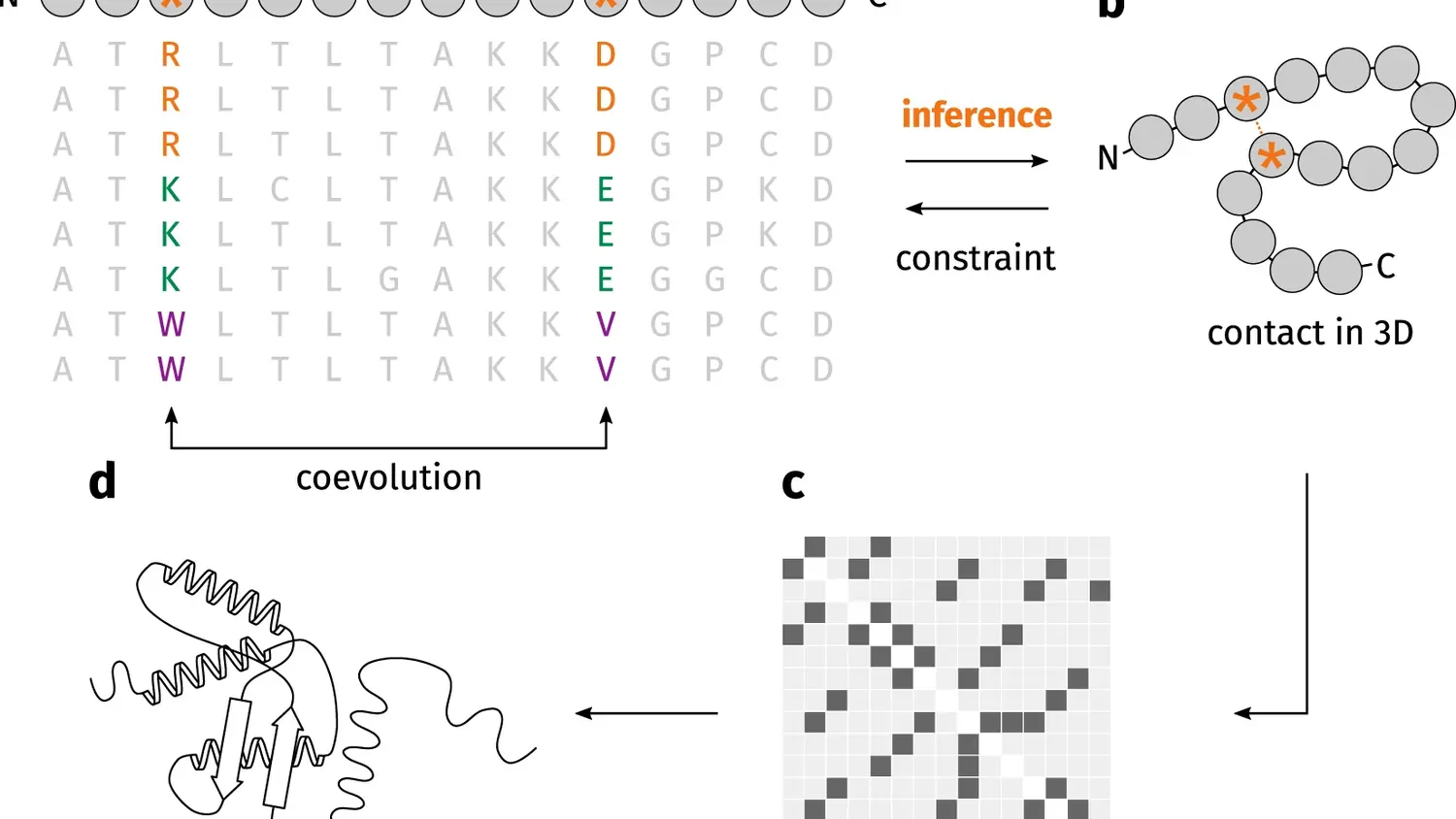 Awesome-Protein-ContactMap-Prediction